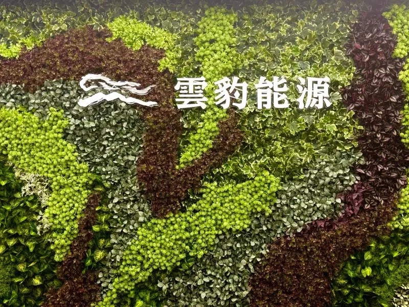 綠電、儲能雙引擎帶動 雲豹能源3策略發展