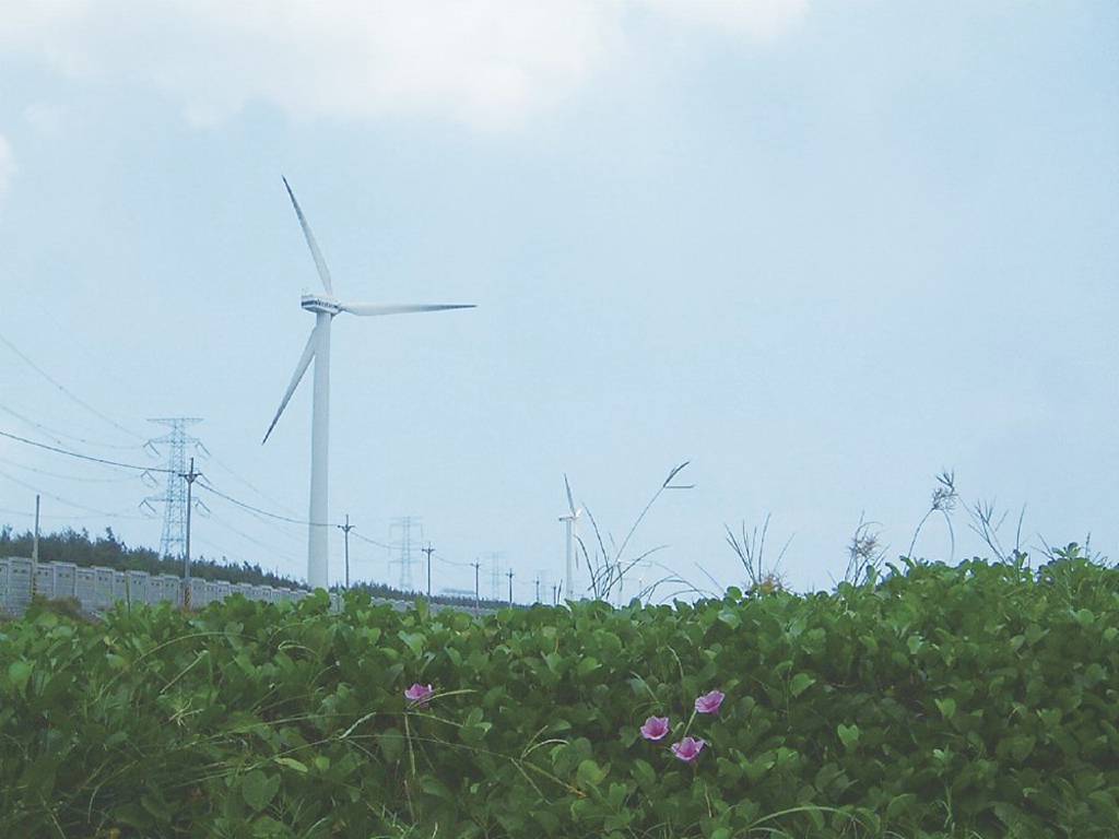 風電可望成為綠電主力